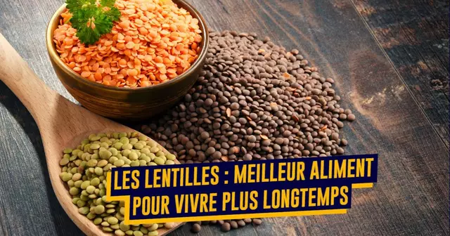 LENTILLES