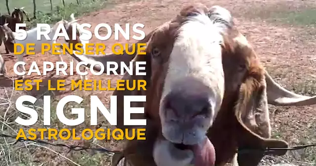 VIGNETTE_CAPRICORNE0