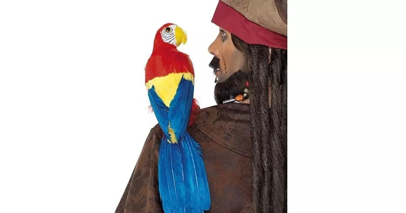 petit-perroquet-epaule