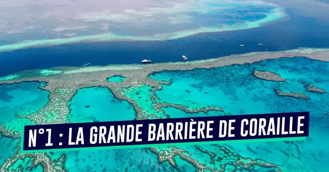 UNE_VOYAGE_barrière_coraille