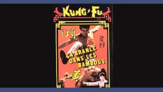 Vignette-Video-affiche-kung-fu