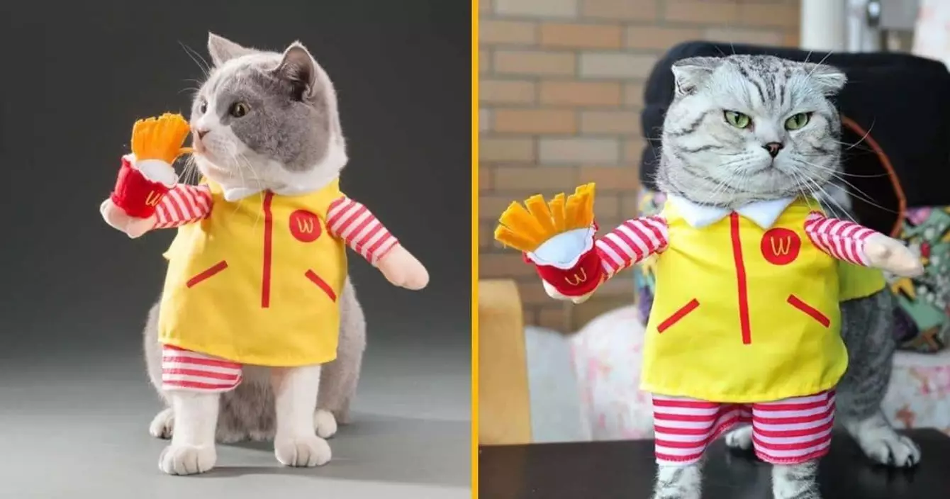 deguisement-chats-mcdonalds