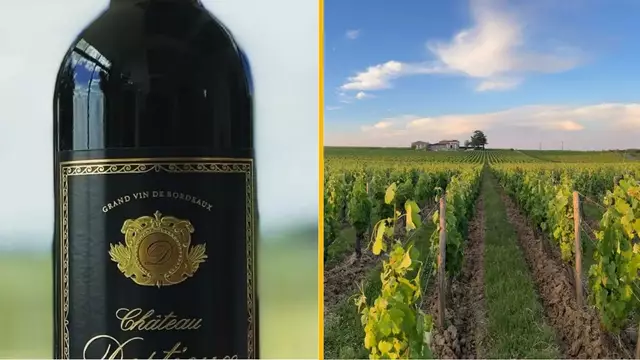 DEGUSTATION-VIN-BORDEAUX-WINALIST