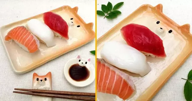 assiette-sushi-shiba
