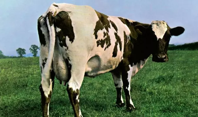 81bl1CsAm7L._SL1419_