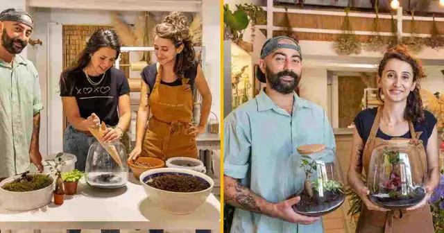 atelier-terrarium-montpellier