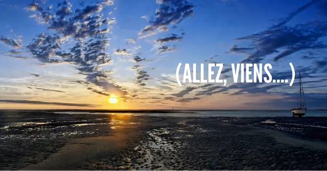 Bassin_d'Arcachon_au_soleil_levant (1)