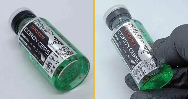 flacon-spores-cordyceps