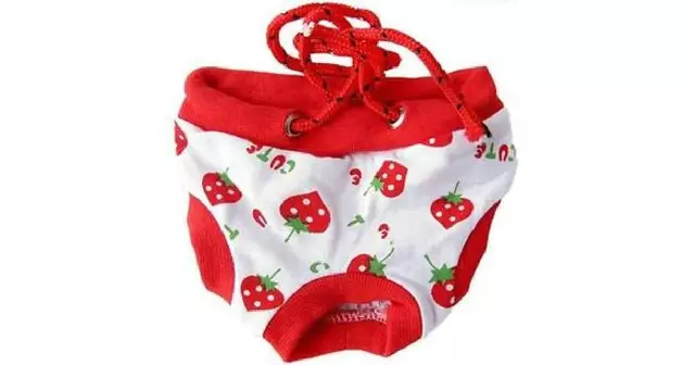 slip-chien-fraise (2)