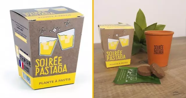 plante-pastis-soiree-pastaga