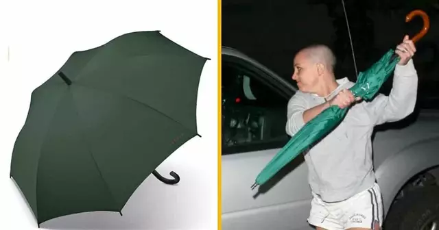 parapluie-flamant-rose