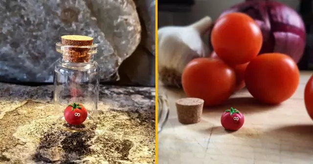 tomate-compagnie