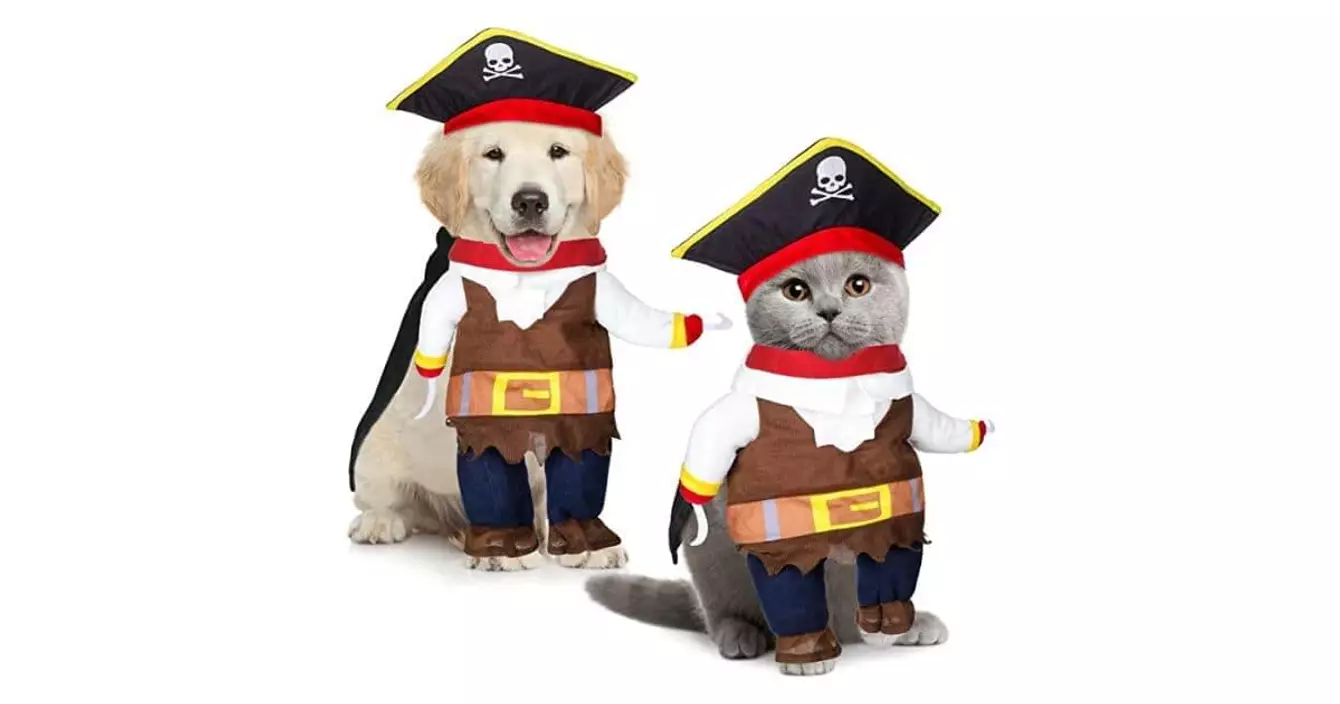 costume-pirate-chien
