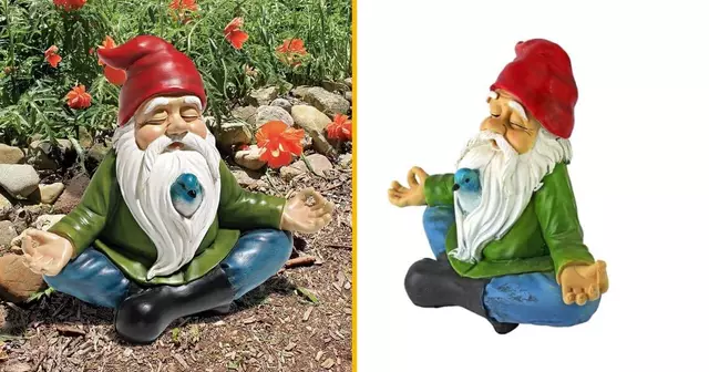 nain-zen-grenouille-zen