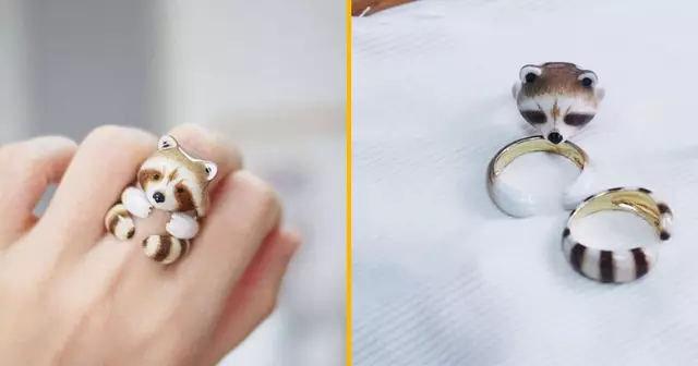 un-trio-de-bague-pour-faire-un-petit-raton-laveur