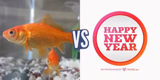 battle-367136-1427841195