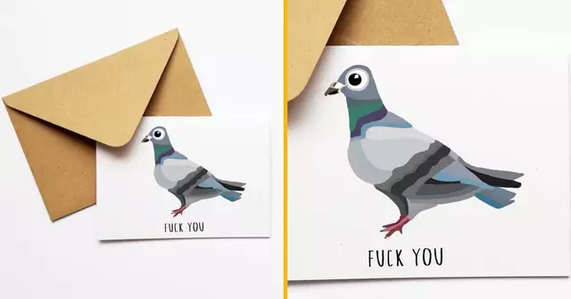 carte-de-voeux-pigeon