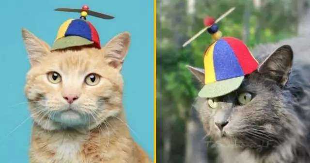 Sans titre - 2019-05-28T112702.910 (1)