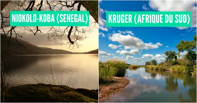 top parc africain