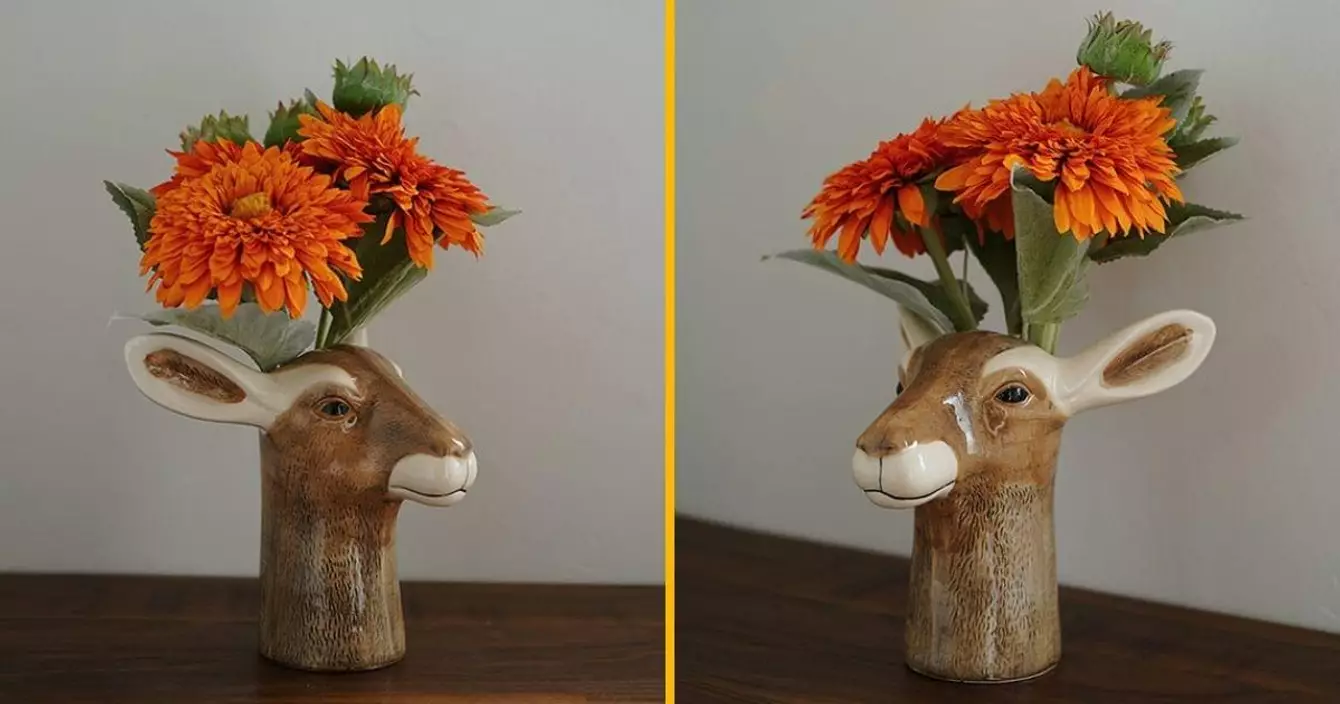 vase-biche