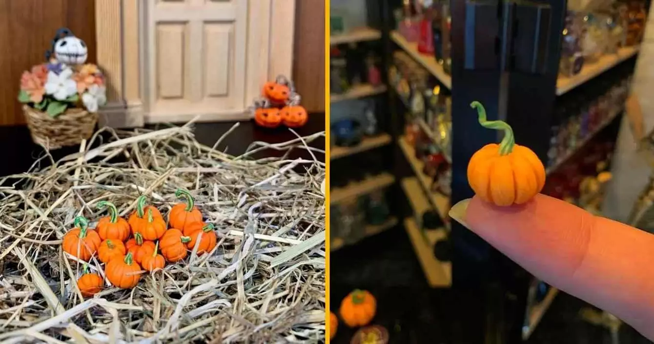 citrouille-compagnie