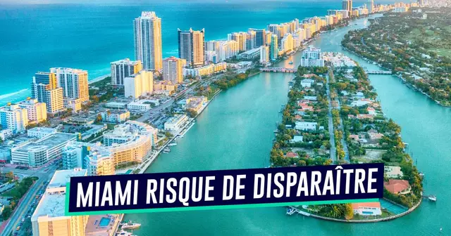 UNE_miami_disparaitre