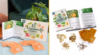 GRAINES-LEGUMES-INSOLITES