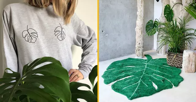 UNE_SHOPPING_monstera
