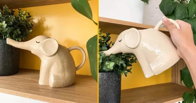 un-petit-elephant-qui-arrose-et-fait-fleurir-votre-jardin