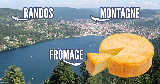 69f19746-423c-4ed7-a7de-0af060d4122d