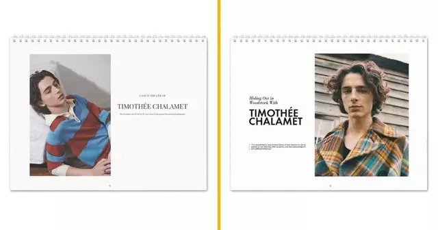 calendrier-mural-timothee-chalamet