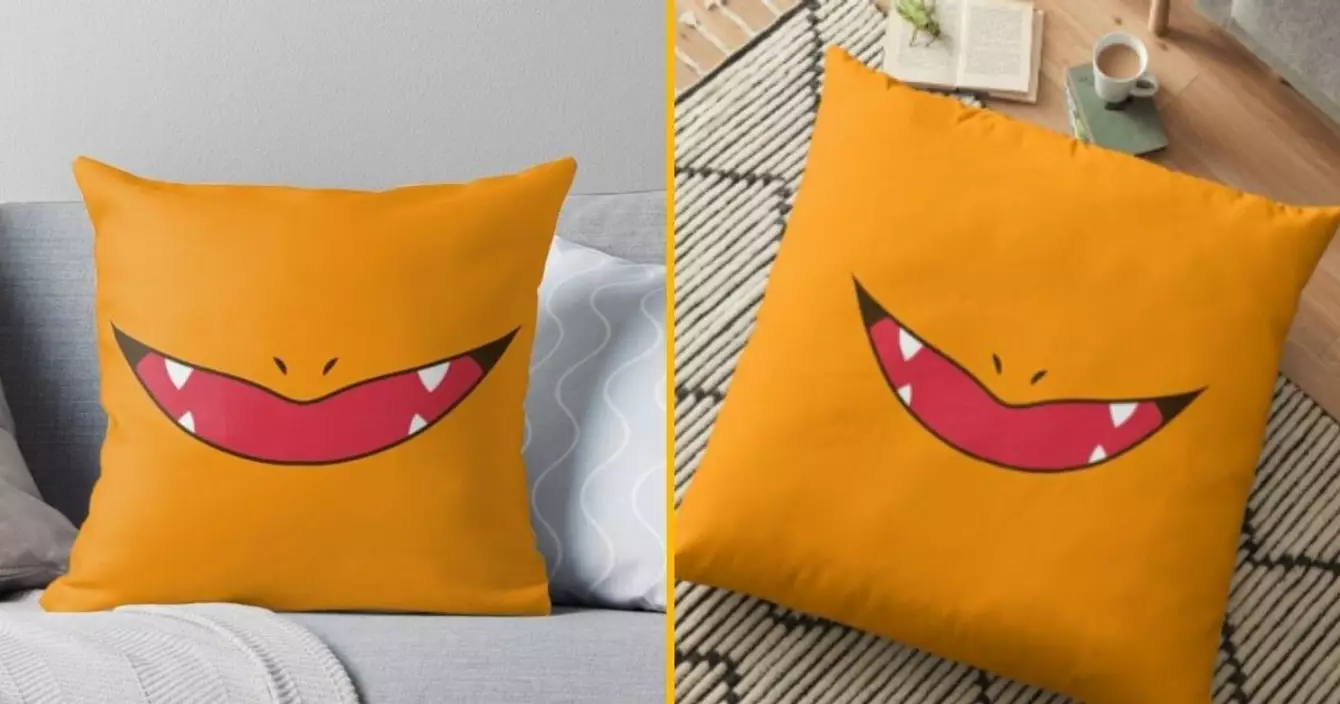 housse-coussin-salameche