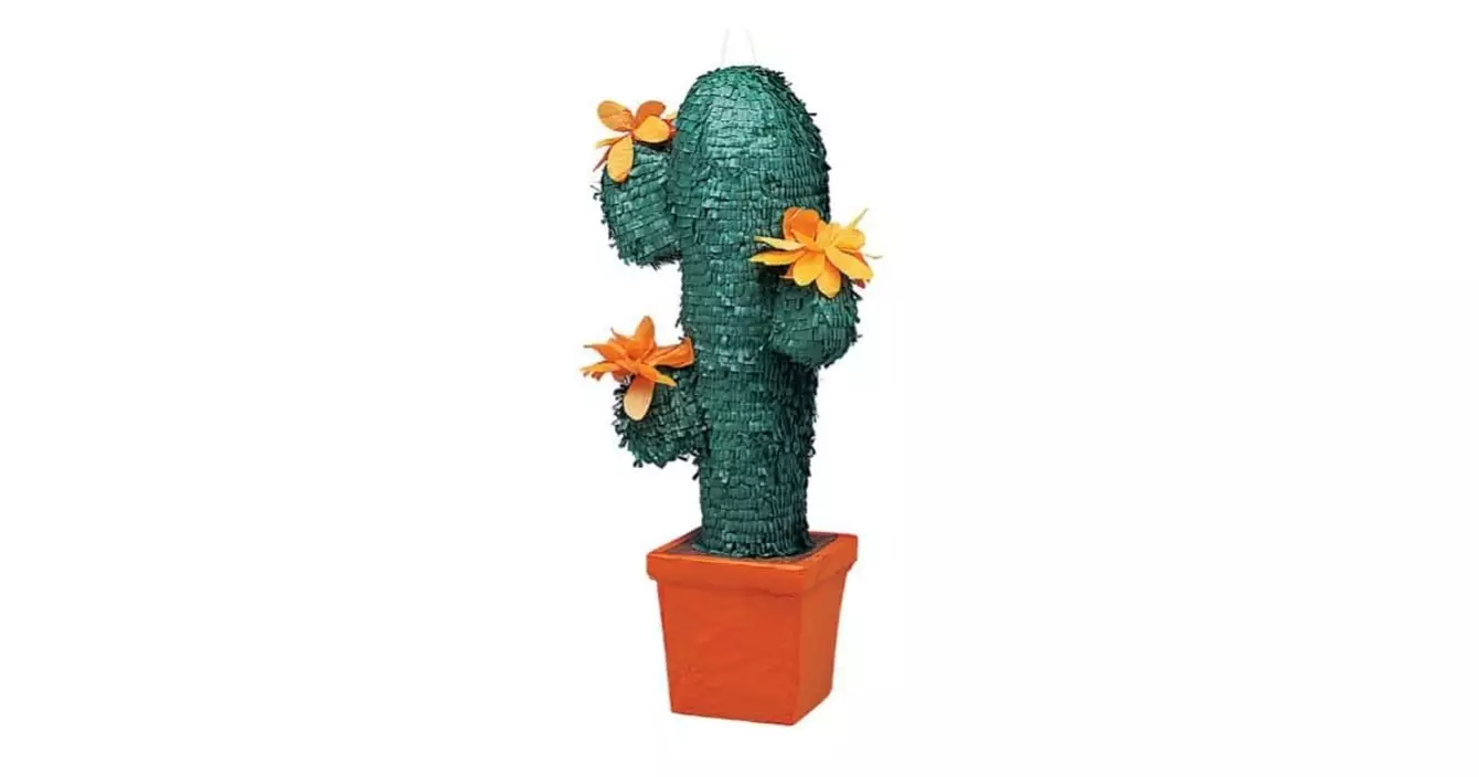 pinata-cactus