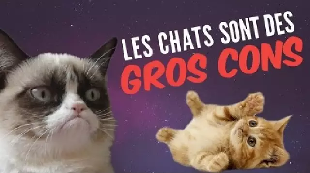 une_chat