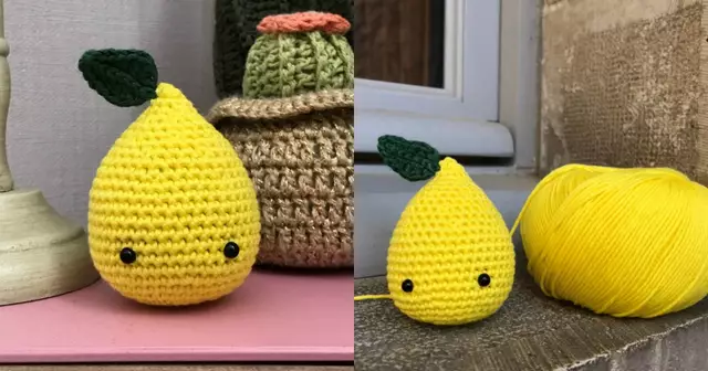 citron-crochet