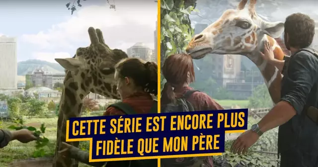 TOP LAST OF US FIDELE