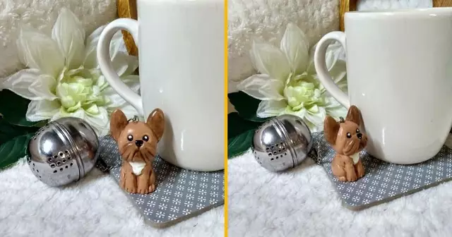 boule-the-bouledogue