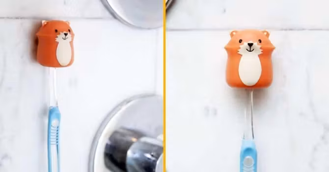 paresseux-porte-brosse-dents-1-1024x538