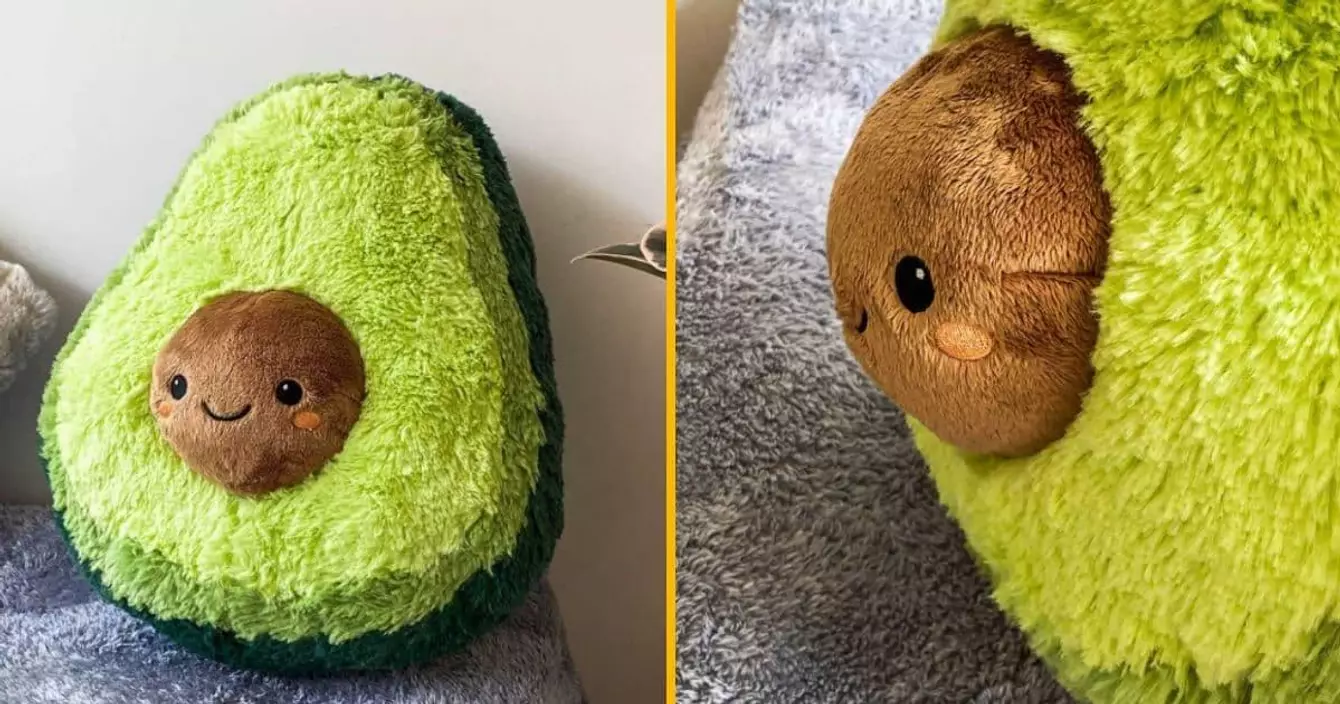 peluche-avocat