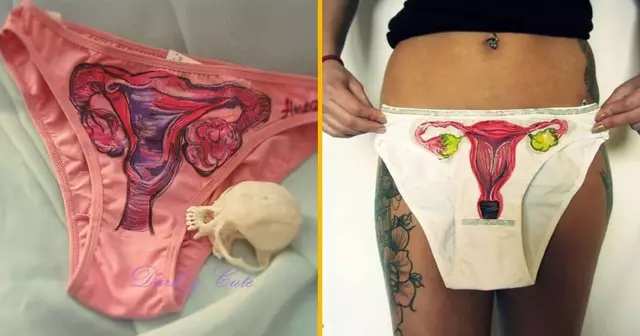 culotte-grand-mere-anatomie-vagin