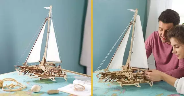 trimaran-bois-construction