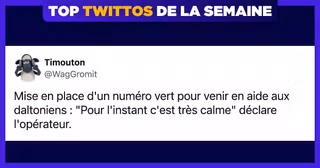 une-top-twittos-timouton