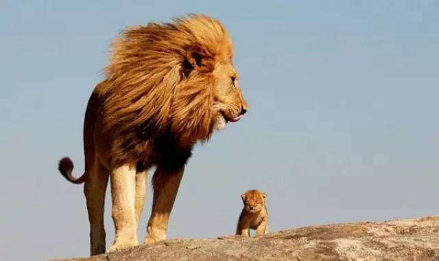 36 - UHLKT8Q_resultat