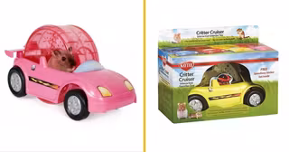 hamster-racer-voiture