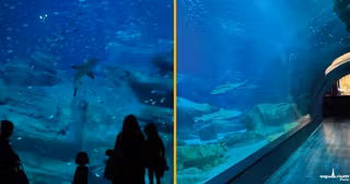 billets-laquarium-paris