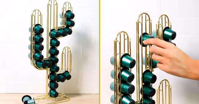 porte-capsules-cactus
