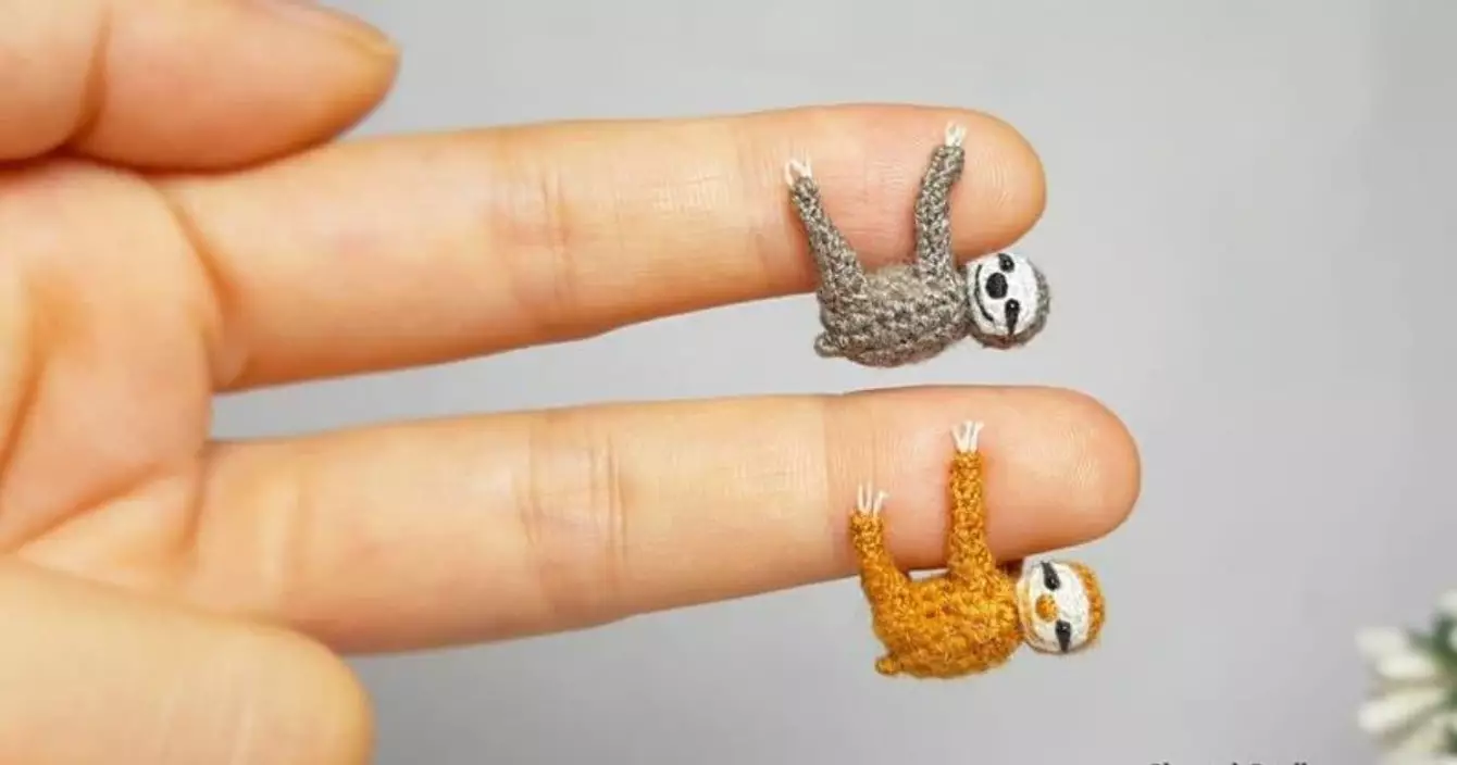 minis-paresseux-crochet