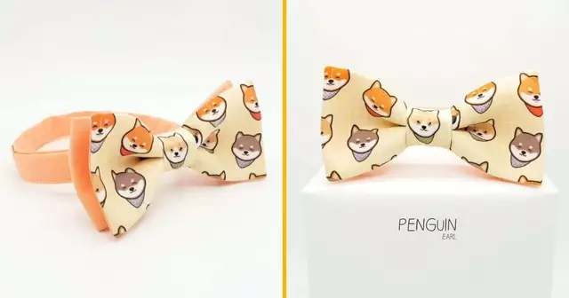 noeud-papillon-shiba