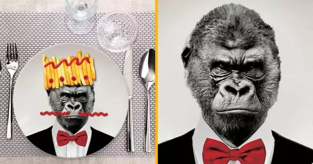 assiettes-beaux-animaux