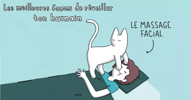 une-chat